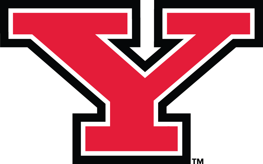 Youngstown State Penguins iron ons